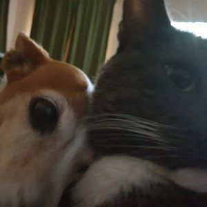 Meet your Posher, Christine